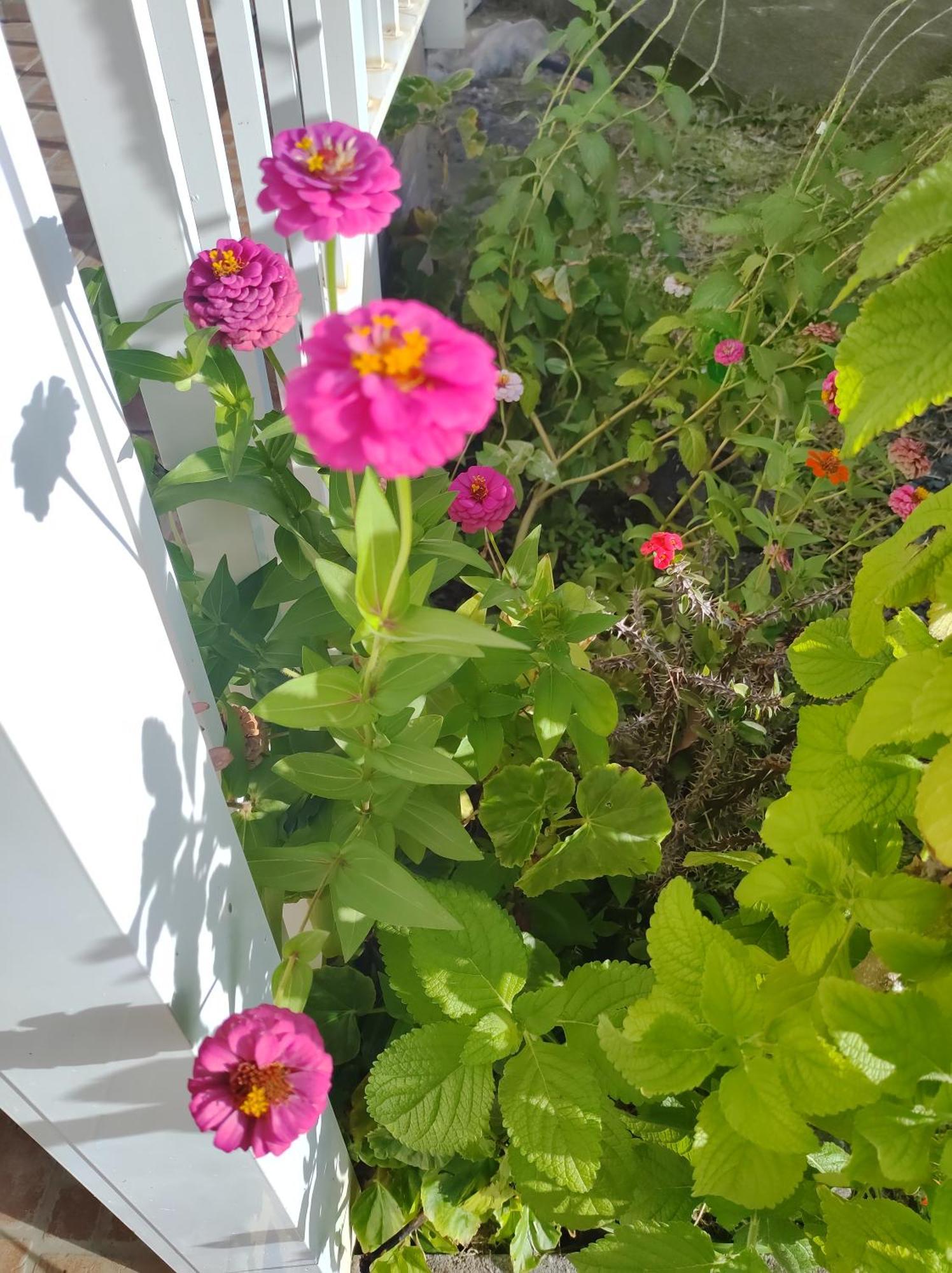 Location Hibiscus Villa Pointe-Noire Luaran gambar